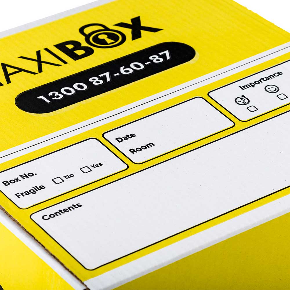 Large Box-1