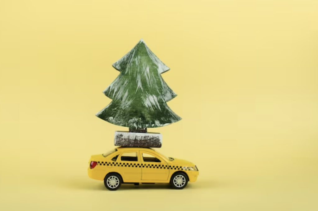TAXIBOX launches new partnership program with Carbon Neutral