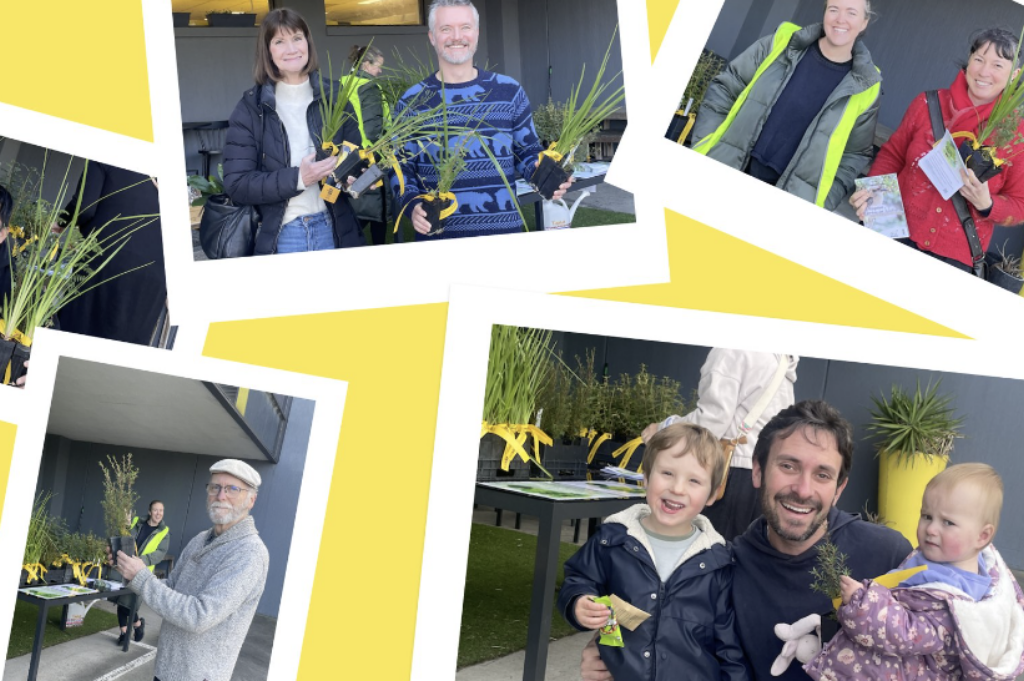 Melbourne community comes together for free native plants at TAXIBOX HQ