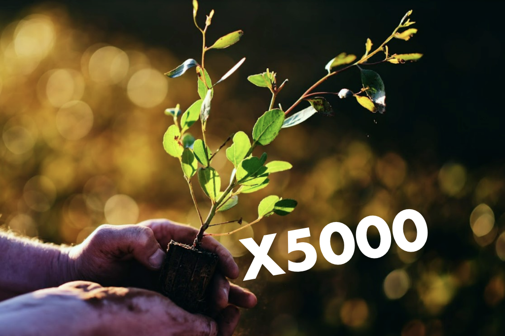 TAXIBOX commits to planting 5000 trees in 2023